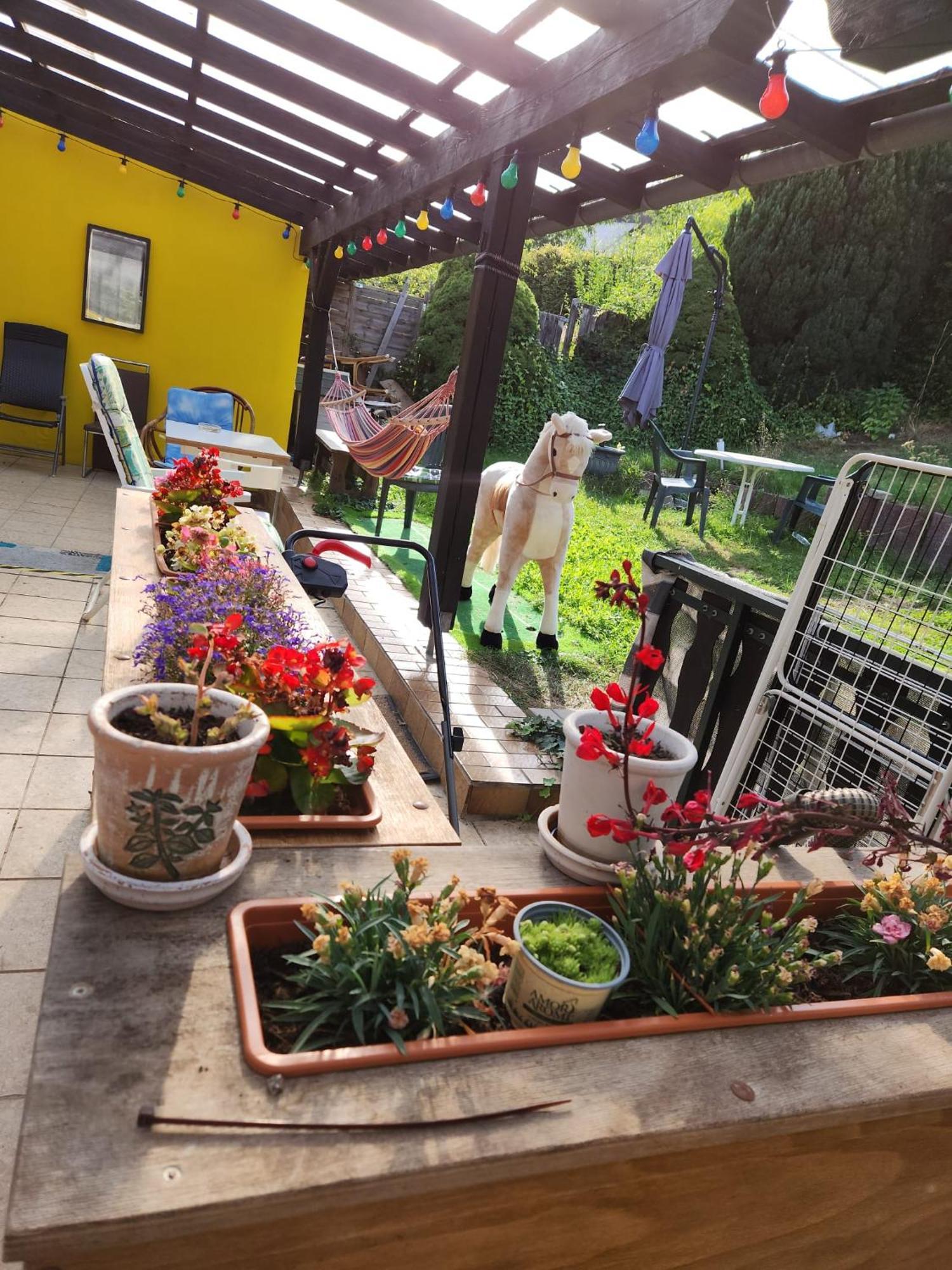 Gasthaus Hochwald Hattgenstein Zewnętrze zdjęcie