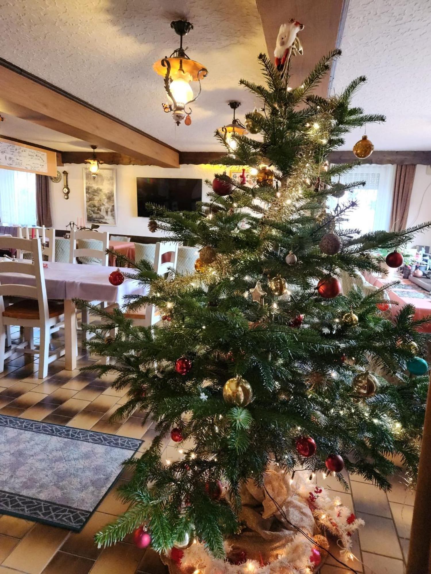 Gasthaus Hochwald Hattgenstein Zewnętrze zdjęcie